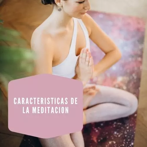 Caracteristicas De La Meditacion
